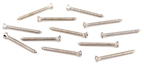 Chrome Neck Plate Mounting Screws