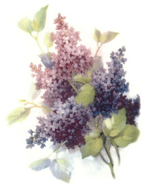 Floral Cascade Ceramic Decals