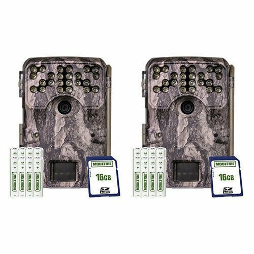 Wildlife Watcher Camera Kit