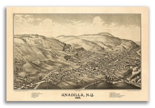 Unadilla New York 1887 Historic Panoramic Town Map - 16x24