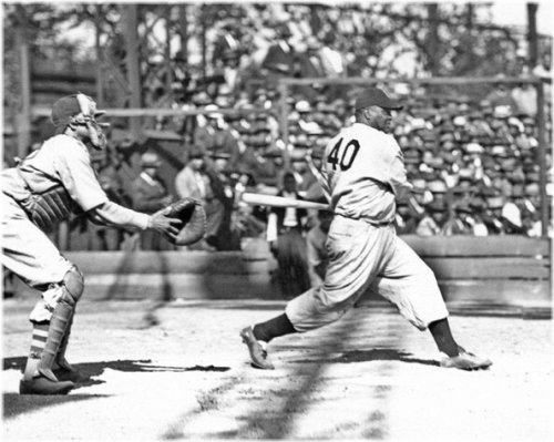 Newark Eagles James 'Biz' Mackey Glossy 8x10 Photo Poster