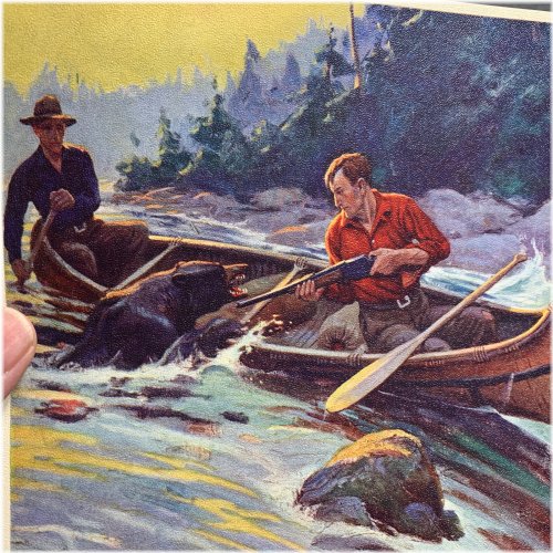 Wilderness Adventure Black Bears Art Print