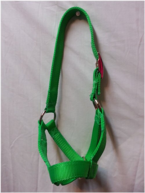 Rancher's Choice Nylon Halters - Handcrafted in the USA for All Your Livestock Needs