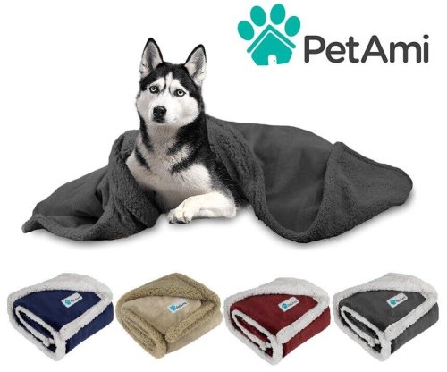 CozyCanine Fleece Reversible Blanket