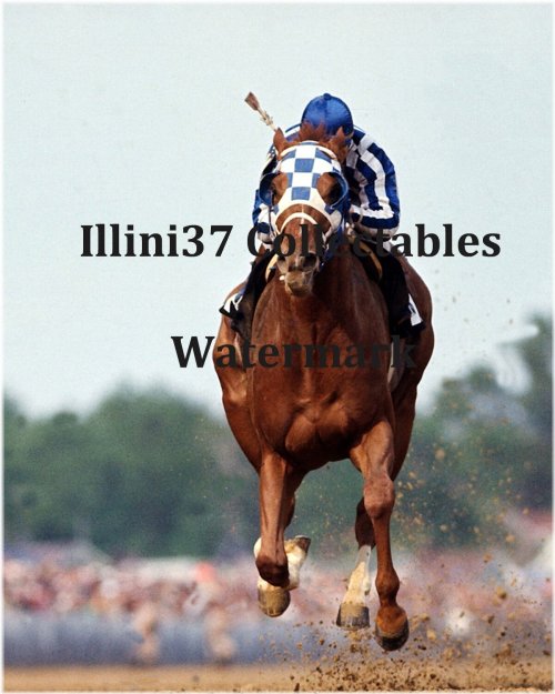 Kentucky Derby Champion Memorabilia