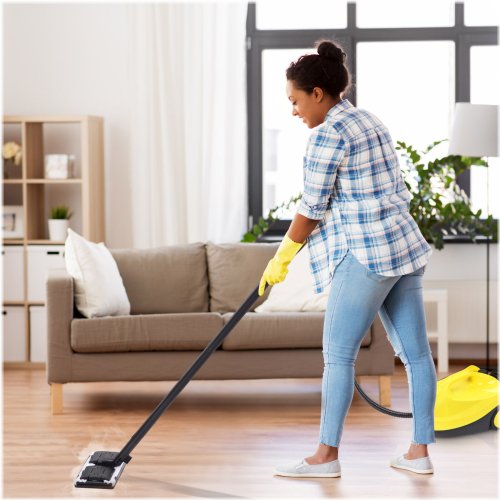 PowerSteam Pro - Professional Grade Steam Cleaner for Home and Office