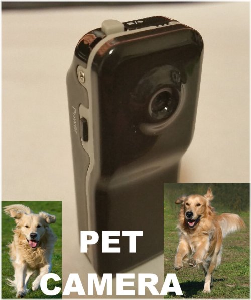 Puppy Cam with Sound: Wireless Video Camera for Dogs and Puppies