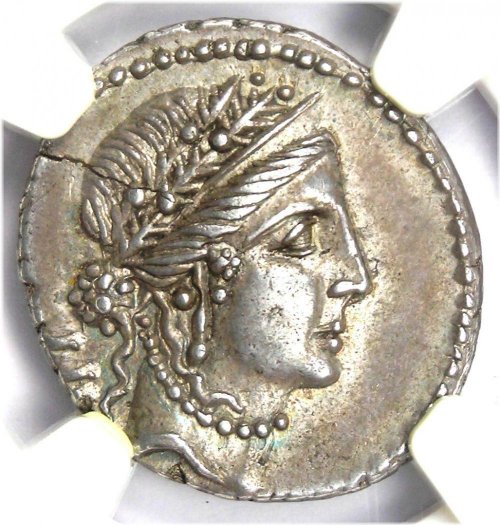 Caesar's Legacy Denarius Coin