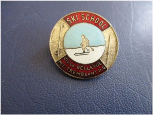 Mountain Lodge Ski Pin