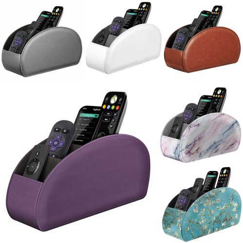 5-Section Remote Organizer