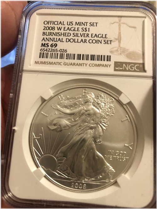 2008-W Burnished Silver Eagle Annual Set