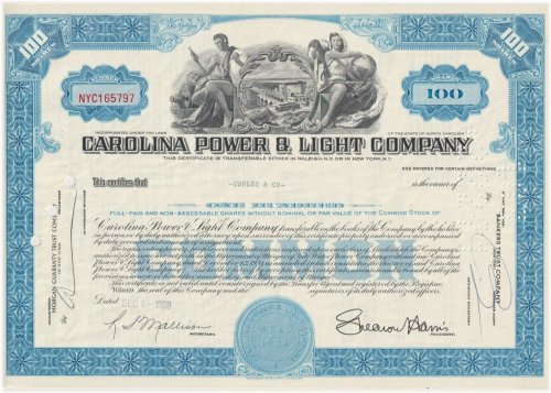 Carolina Energy Holdings Portfolio