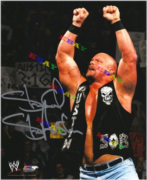 Champion's Signature: Stone Cold Steve Austin 8x10 Sports Print