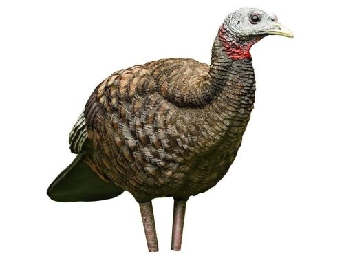 Breeder Hen Decoy