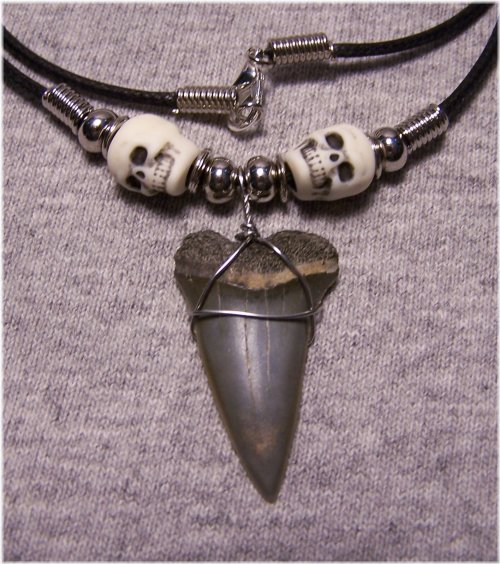 Shark Tooth Treasures