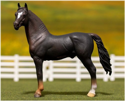 Chestnut Morgan Stallion Figure