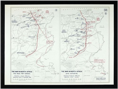 Tunisia Campaign: WWII African Front Map - February 14, 1943