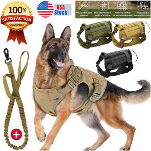 Defender Vest for Dogs