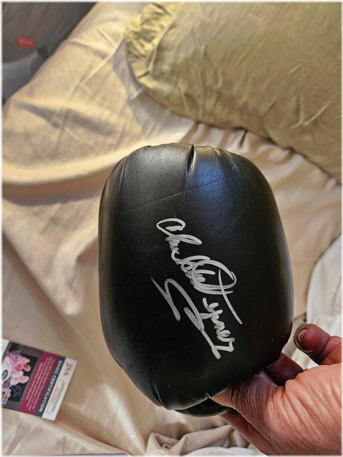 Chuck Wepner Signed Everlast Glove with JSA Certification