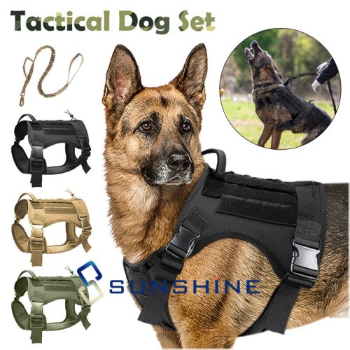 Commander Canine Harness