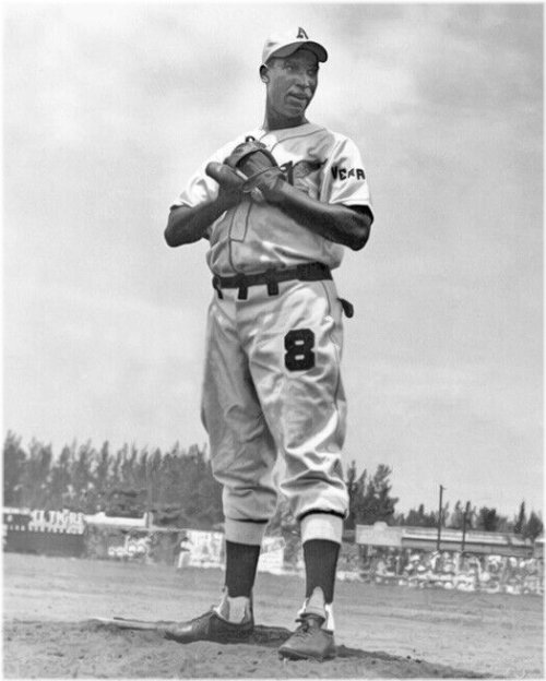 Veracruz Eagles MARTIN DIHIGO Glossy 8x10 Photo Print