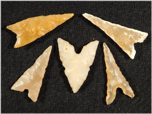 Bottom Notch Tidikelt Arrowheads Collection