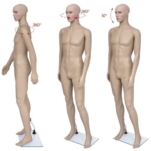 Realistic Male Display Figure