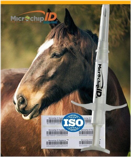 Equine Trace ID Tags (25 Pack)