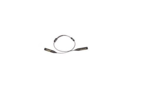 Black Sunglass Retainer - 14" Zipz