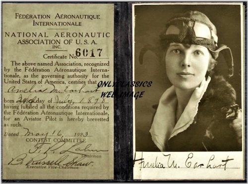 Amelia's Legacy: Authentic Aviation Memorabilia