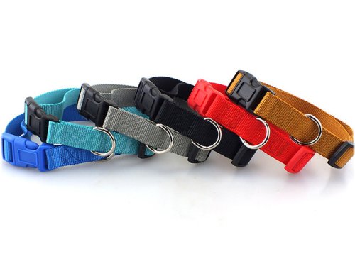 Rainbow Release Dog Collar