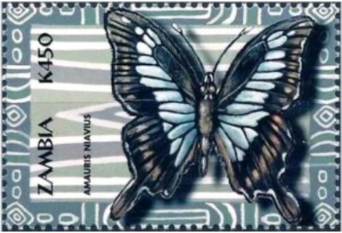 Zambian Butterfly Delight Stamp