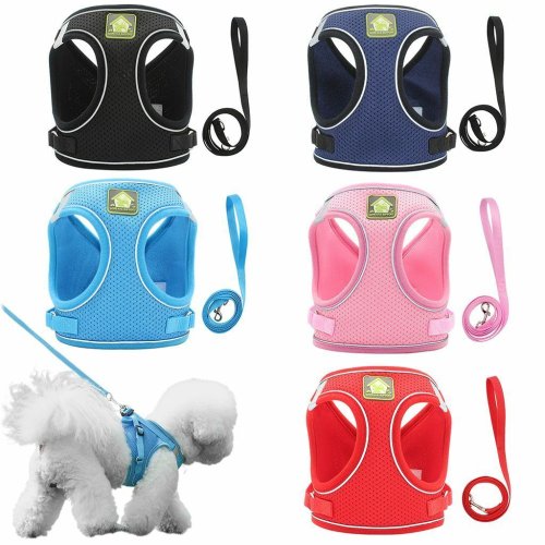 Breathable Mesh Dog Vest and Leash Set