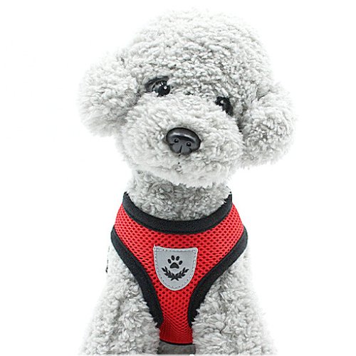 Secure Walk Mesh Harness