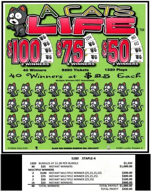 Feline Fortune Fun Pack