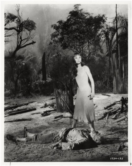 Vintage Hollywood Moments Collection