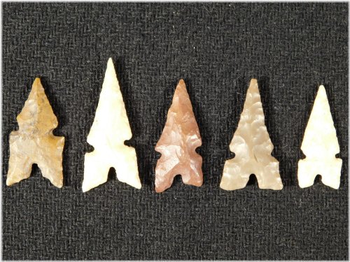 Tidikelt Arrowheads Collection