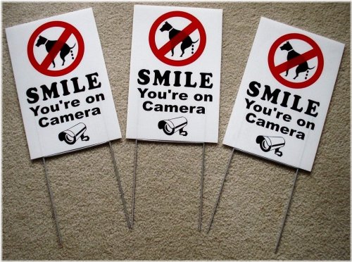 Canine Clean-Up Surveillance Signs