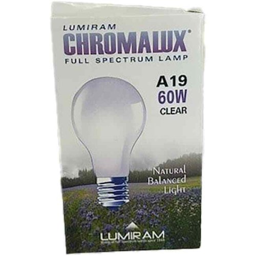 Clear Glow 60W Light Bulb