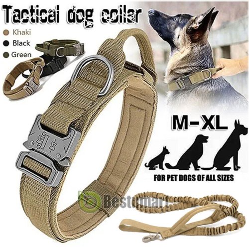 Commander's Collar - Heavy Duty Metal Buckle for Tactical K9 Training (M/L/XL)