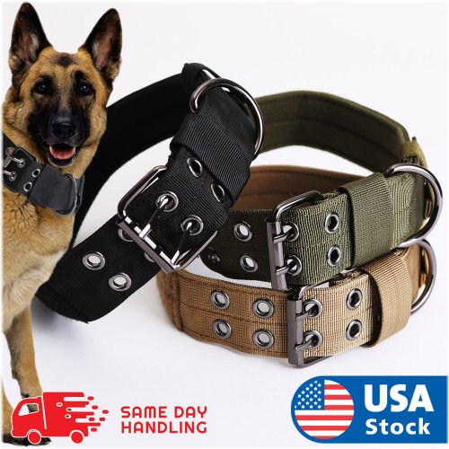 Nylon K9 Collar with Metal Buckle