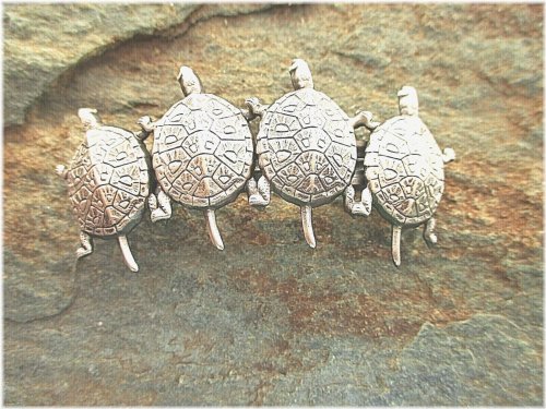 Turtle Treasures Hair Barrette