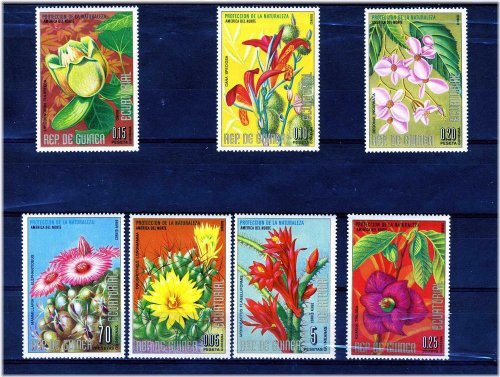 Equatorial Guinea North American Flowers and Cacti Stamp Collection