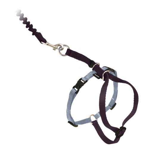 Freedom Feline Harness and Bungee Leash Kit