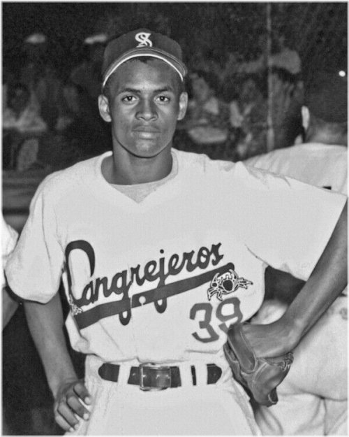 Roberto Clemente Tribute Print