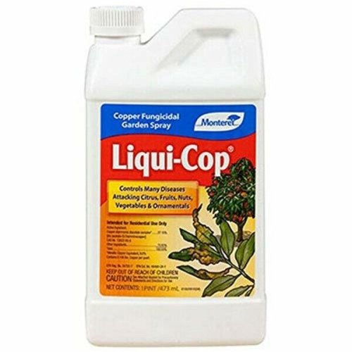 Copper Shield Fungicide - Pint