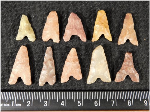 Tidikelt Arrowhead Collection