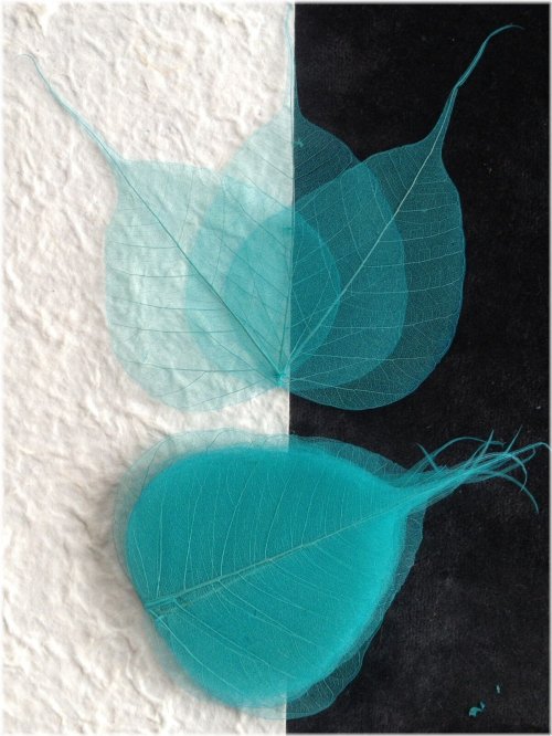 Turquoise Banyan Skeleton Leaves for Wedding Crafts