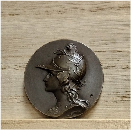 Liberté Éternelle Bronze Commemorative Medal