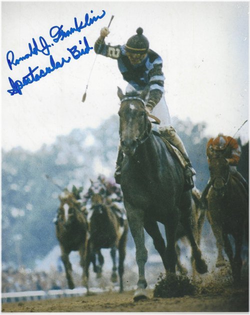 Victory Moments: Ronald Franklin's Spectacular Bid Ride